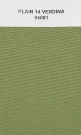 94081